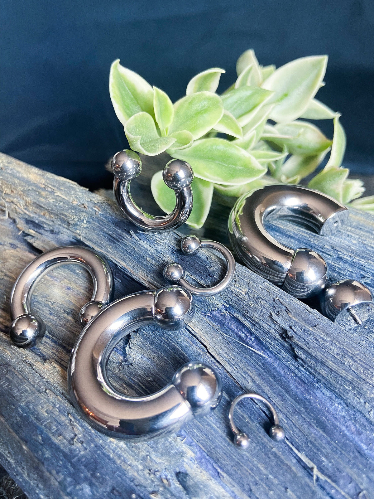 1 Piece Solid G23 Titanium Circular Barbell Internally Threaded Horseshoe Ring/Hoop - Gauges 12g (2mm) thru 2g (6mm) Available!