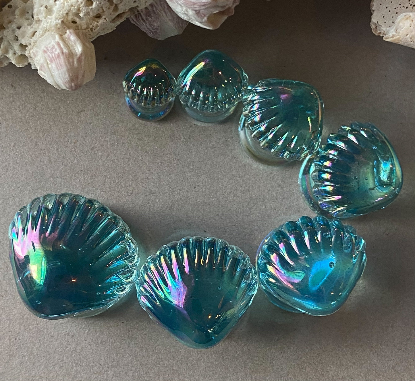 PAIR of Stunning Aurora Borealis Seashell Glass Double Flare Tunnels/Plugs - Gauges 2g (6mm) thru 5/8" (16mm) available!