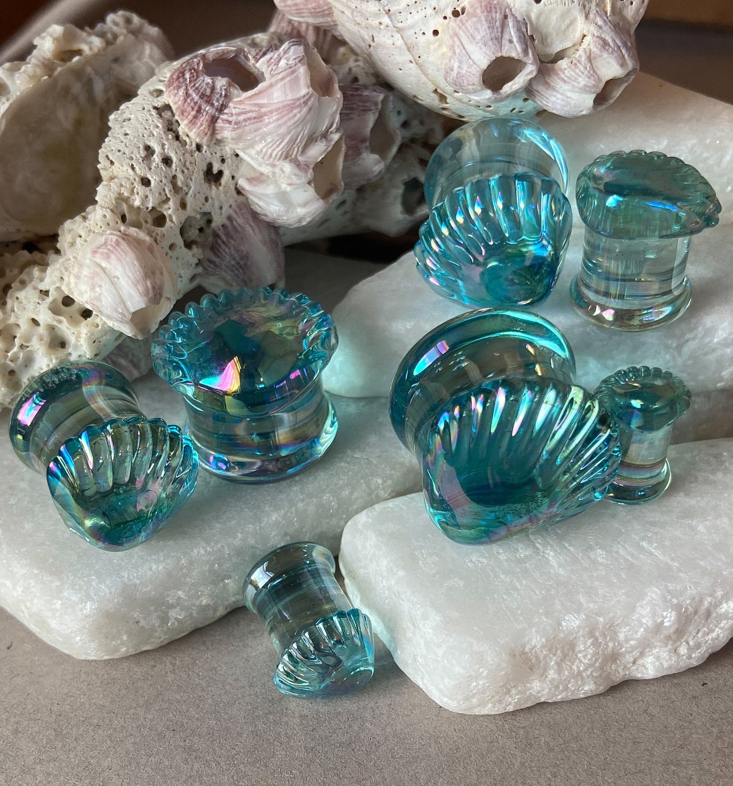 PAIR of Stunning Aurora Borealis Seashell Glass Double Flare Tunnels/Plugs - Gauges 2g (6mm) thru 5/8" (16mm) available!