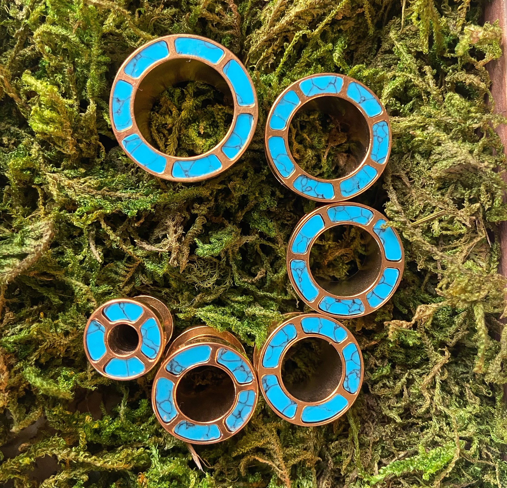 PAIR of Beautiful Turquoise Inlaid Rimmed Gold Screw Fit Tunnels/Plugs - Gauge 2g (8mm) thru 5/8" (16mm) available!