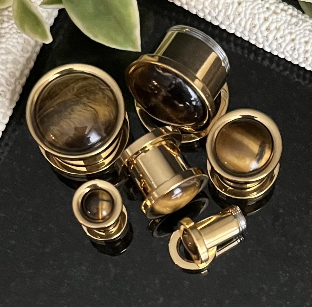 PAIR of Beautiful Tiger Eye Stone Dome Gold Steel Screw Fit Tunnels/Plugs - Gauges 2g (6mm) thru 5/8" (16mm) available!
