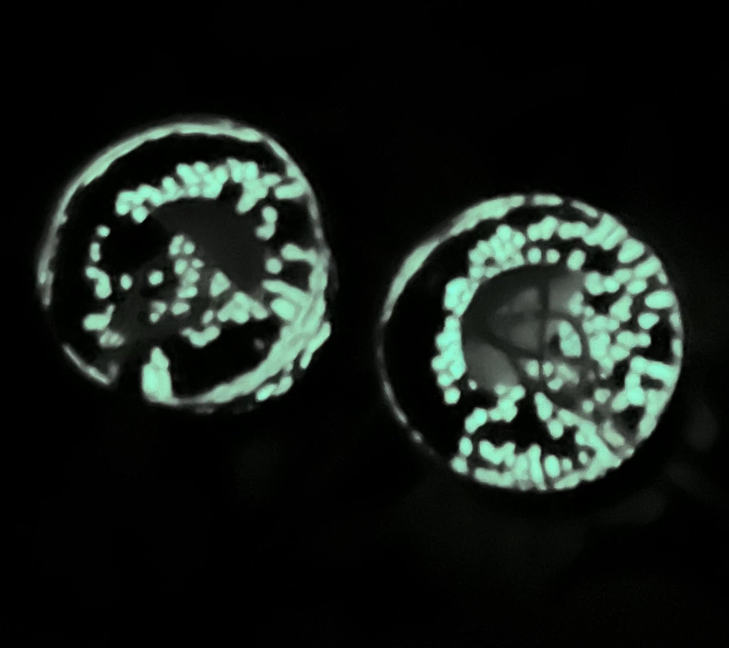 PAIR of Unique Glow in the Dark Floating Multi Color Jellyfish Glass Double Flare Plugs -Gauges 0g (8mm) through 3/4" (19mm) available!