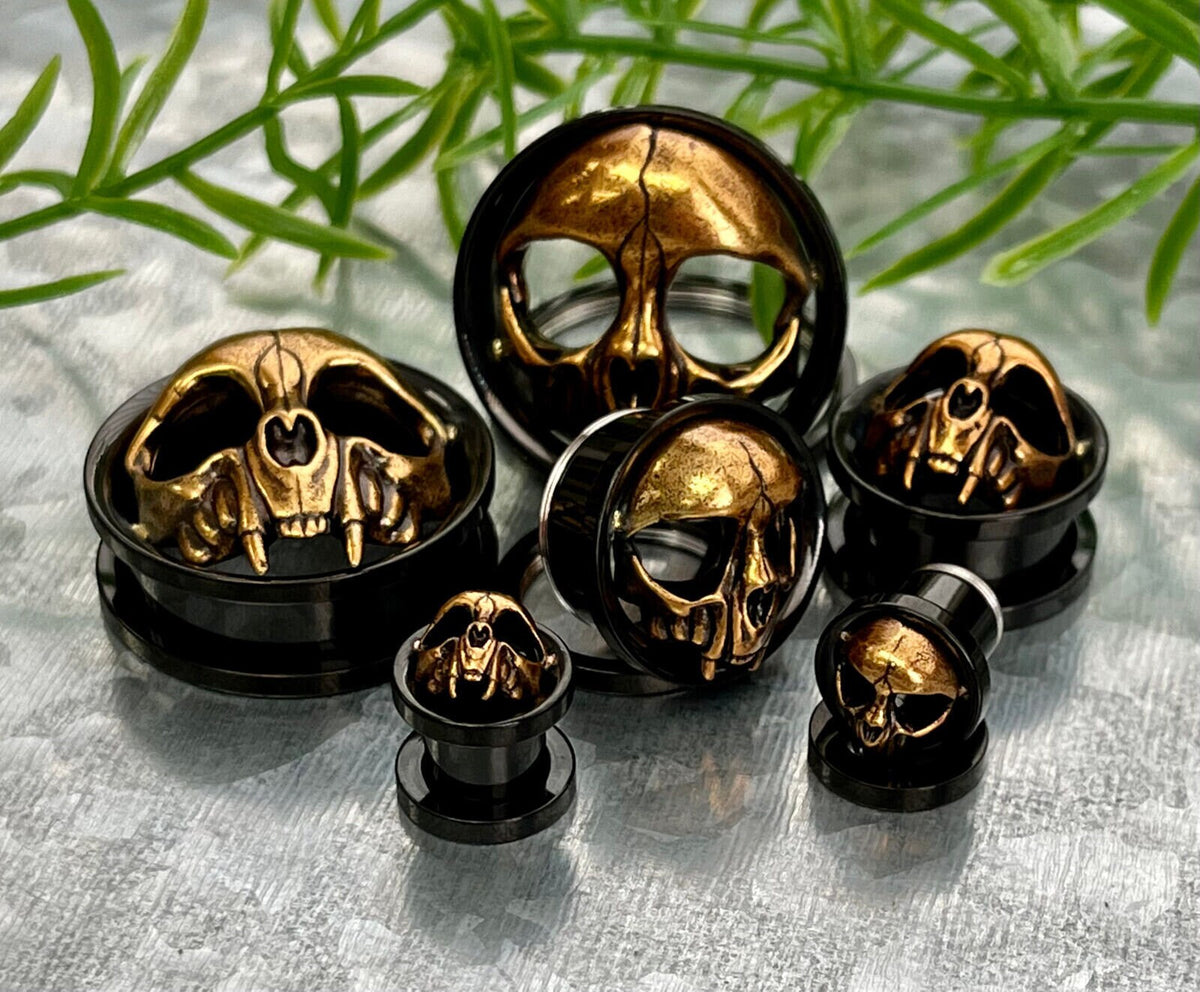 PAIR of Gold Skull with Fangs Black Screw Fit Tunnels /Plugs - Gauges 0g (8mm) thru 1" (25mm) available!